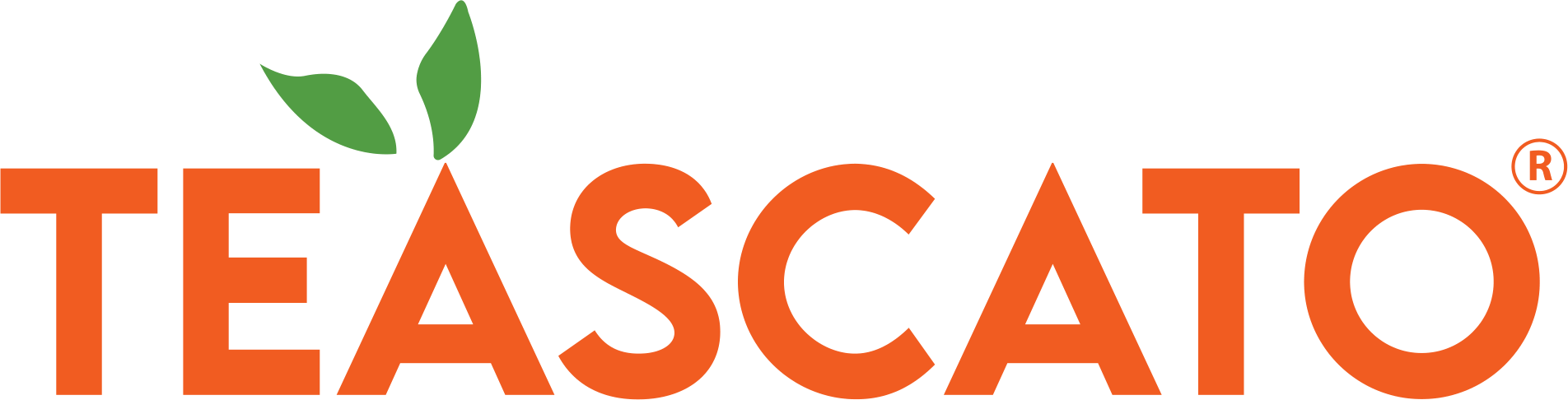 Teascato